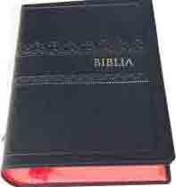 biblia ndogo